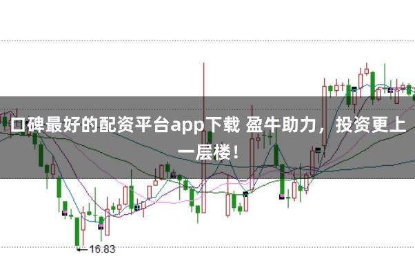 口碑最好的配资平台app下载 盈牛助力，投资更上一层楼！