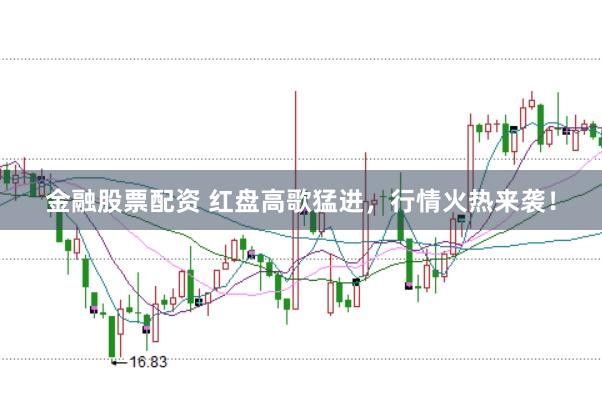 金融股票配资 红盘高歌猛进，行情火热来袭！