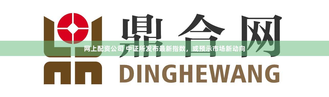 网上配资公司 中证所发布最新指数，或预示市场新动向