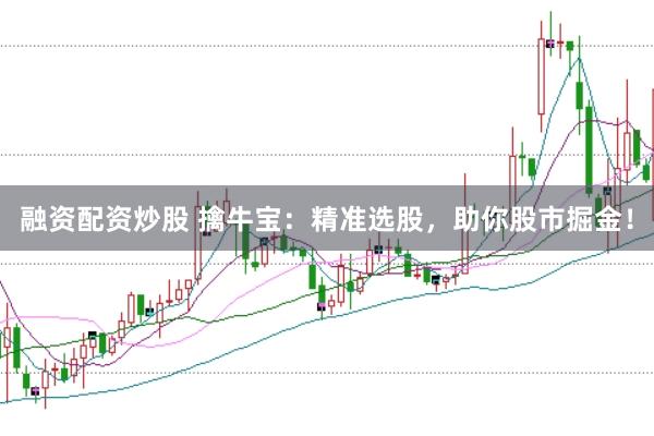 融资配资炒股 擒牛宝：精准选股，助你股市掘金！