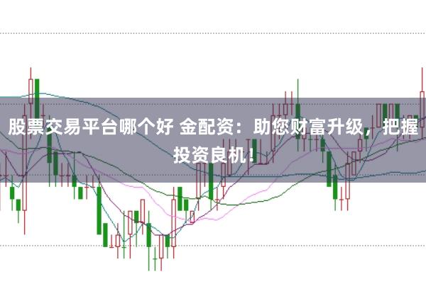 股票交易平台哪个好 金配资：助您财富升级，把握投资良机！