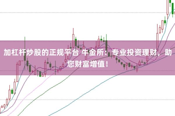 加杠杆炒股的正规平台 牛金所：专业投资理财，助您财富增值！