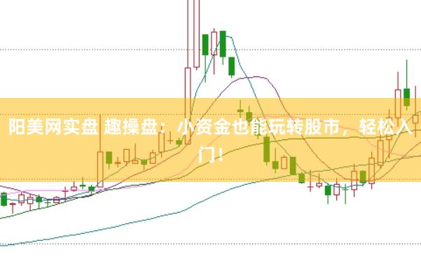 阳美网实盘 趣操盘：小资金也能玩转股市，轻松入门！