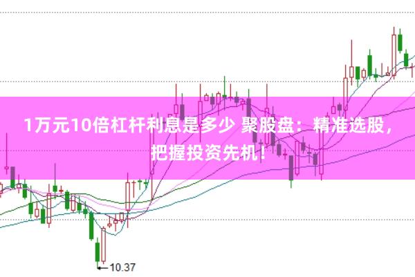 1万元10倍杠杆利息是多少 聚股盘：精准选股，把握投资先机！