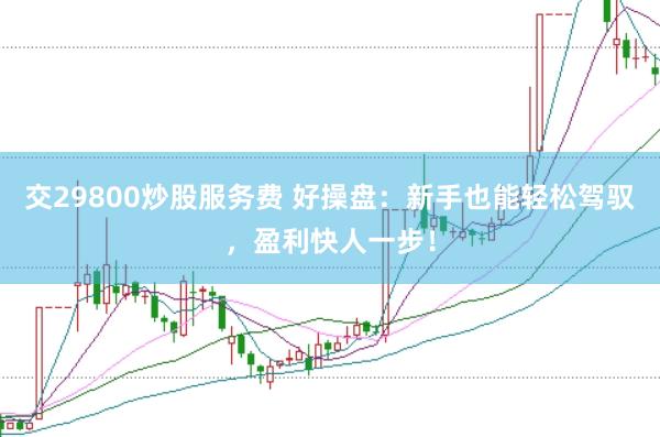 交29800炒股服务费 好操盘：新手也能轻松驾驭，盈利快人一步！