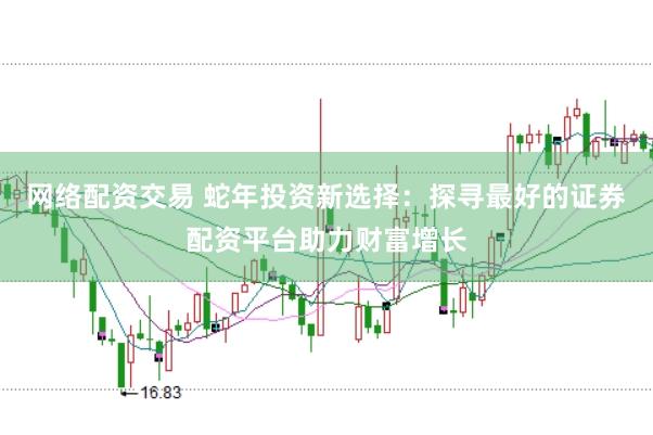 网络配资交易 蛇年投资新选择：探寻最好的证券配资平台助力财富增长