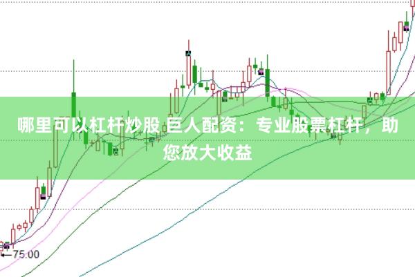 哪里可以杠杆炒股 巨人配资：专业股票杠杆，助您放大收益