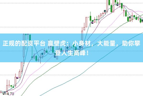 正规的配资平台 赢壁虎：小身材，大能量，助你攀登人生高峰！
