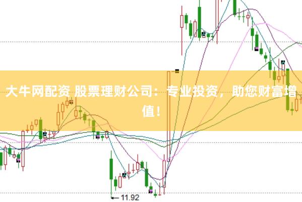 大牛网配资 股票理财公司：专业投资，助您财富增值！
