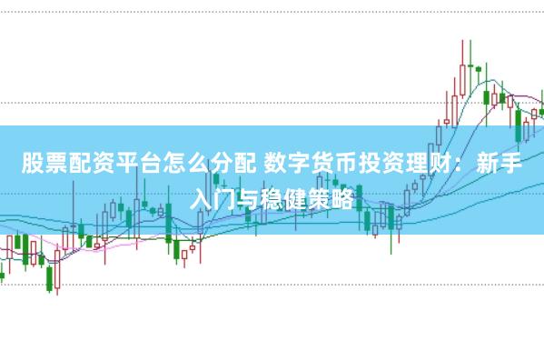 股票配资平台怎么分配 数字货币投资理财：新手入门与稳健策略