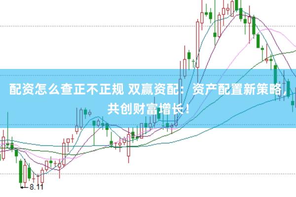 配资怎么查正不正规 双赢资配：资产配置新策略，共创财富增长！