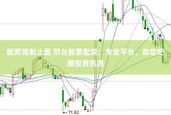 配资强制止盈 邢台股票配资：专业平台，助您把握投资机遇