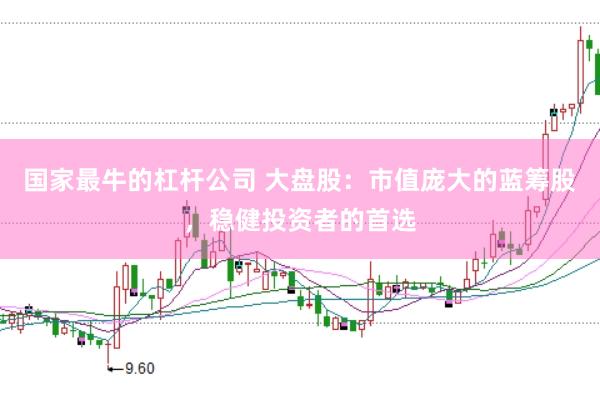 国家最牛的杠杆公司 大盘股：市值庞大的蓝筹股，稳健投资者的首选