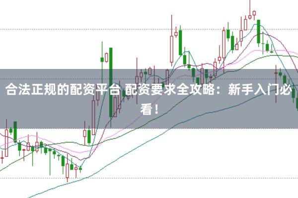 合法正规的配资平台 配资要求全攻略：新手入门必看！