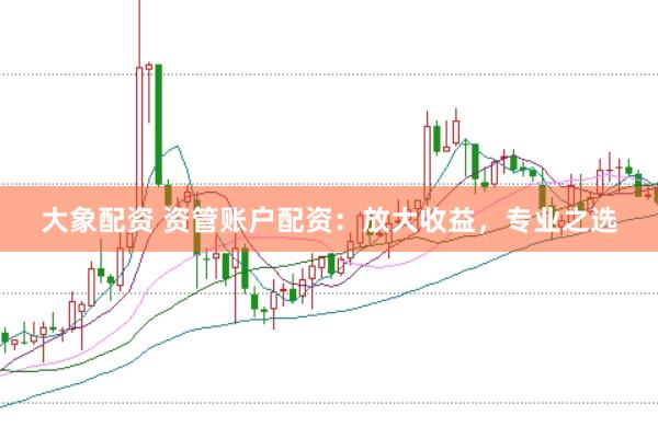 大象配资 资管账户配资：放大收益，专业之选