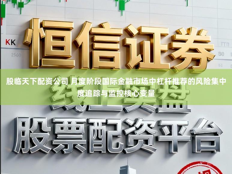 股临天下配资公司 月度阶段国际金融市场中杠杆推荐的风险集中度追踪与监控核心变量