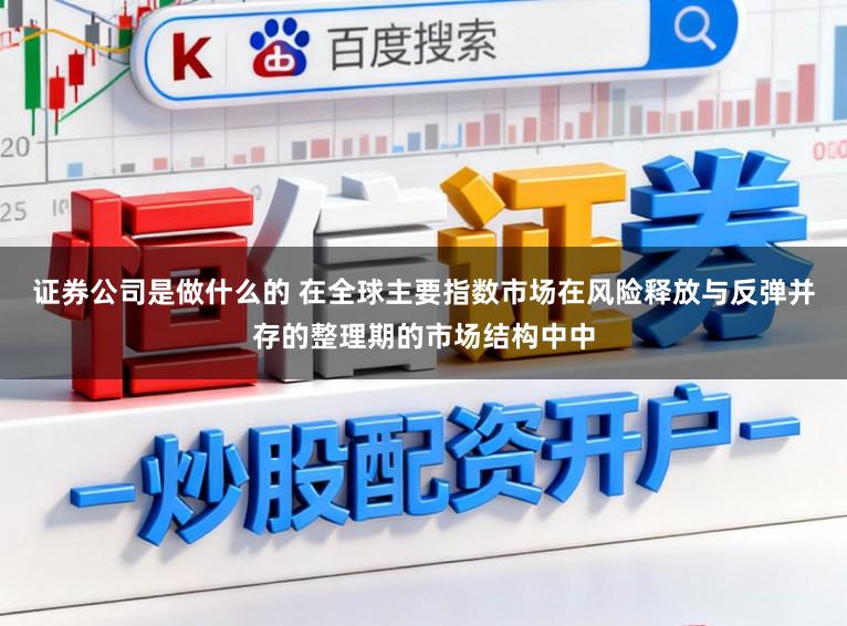 证券公司是做什么的 在全球主要指数市场在风险释放与反弹并存的整理期的市场结构中中