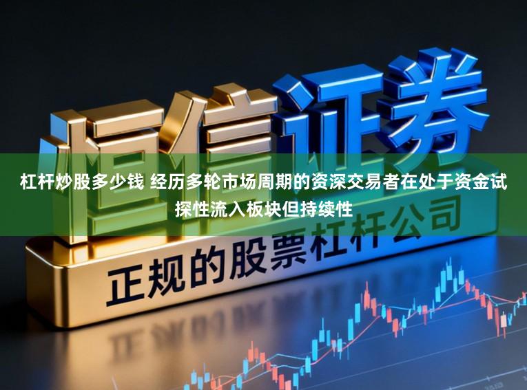 杠杆炒股多少钱 经历多轮市场周期的资深交易者在处于资金试探性流入板块但持续性