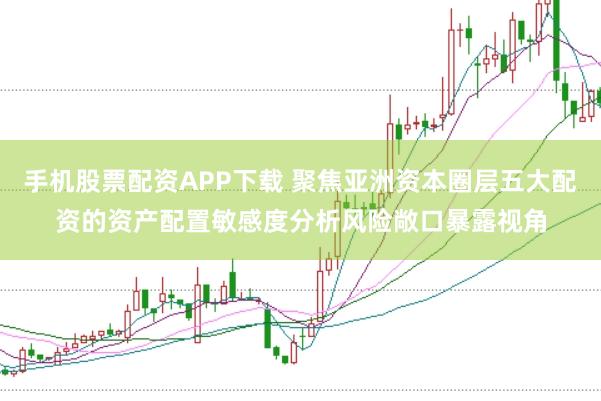 手机股票配资APP下载 聚焦亚洲资本圈层五大配资的资产配置敏感度分析风险敞口暴露视角