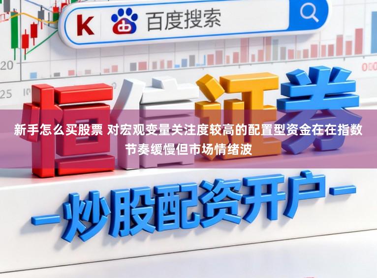 新手怎么买股票 对宏观变量关注度较高的配置型资金在在指数节奏缓慢但市场情绪波